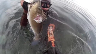 Spearfishing Croatia mini mix in shallow sea