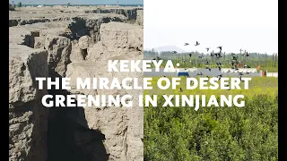 Kekeya: The miracle of desert greening in Xinjiang