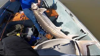 Small boat… BIG FISH California Delta sturgeon/Striper fishing