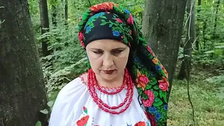 "Буде тобі враже так як відьма скаже." Іванковецький СБК.