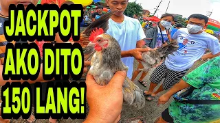 NAKABILI AKO NG MANOK SA BOCAUE! 150 LANG!