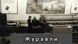 ДАЛЕКО, ДАЛЕКО ЖУРАВЛИ УЛЕТЕЛИ..