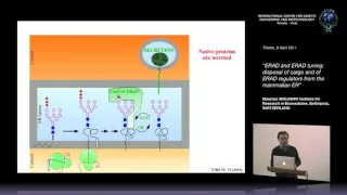 M. Molinari - ERAD and ERAD tuning: disposal of cargo and of ERAD regulators from the mammalian ER