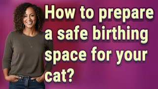 How to prepare a safe birthing space for your cat?