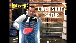 NEW liver shot setup!