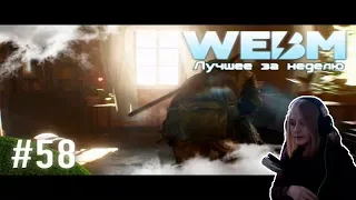 Ксяша смотрит: Dank WebM Compilation #58