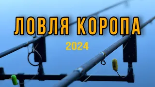 ЛОВЛЯ КОРОПА 2024. НАЛОВИЛИ КУПУ РИБИ! Відкриття сезону.