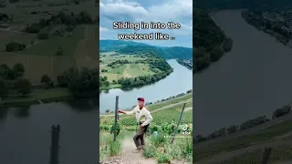 Sliding into the weekend #mosel #wein #funny