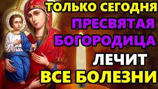 Самая Сильная Молитва Божией Матери Троеручица в праздник. ПРОЧТИ 1 РАЗ ОТ ВСЕХ БОЛЕЗНЕЙ!