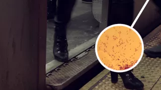 New York City subways are covered in these germs | Mashable