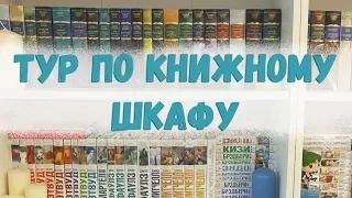 ТУР ПО КНИЖНЫМ ПОЛКАМ #1