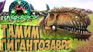 Лучший ГАЙД для НОВИЧКОВ! КАК ПРИРУЧИТЬ ГИГАНОТОЗАВРА в ARK!? Приручение Гиги ,Как тамить гигу