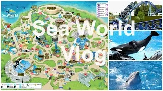 Sea World, San Diego Vlog