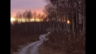 "Я люблю эти дни..." - стихотворение Ю. Левитанского