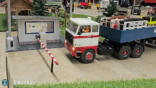 Most realistic 1/14 scale rc Trucks at Modell Truck Nord 2024 Wüsting (Oldenburg)