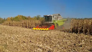 Claas Mega 350 & Zigler 6