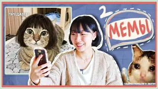 КОРЕЯНКА СМОТРИТ РУССКИЕ МЕМЫ С КОТОМ│РУССКИЙ МЕМ VS КОРЕЙСКИЙ МЕМ  [КОРЕЙСКАЯ СТУДЕНТКА ЧЕРИШ]