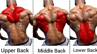 Upper Middle and Lower Back Workout Gym - Bigger Back