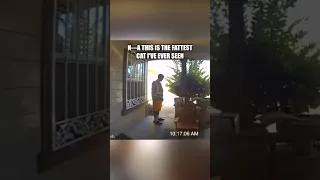 The funniest delivery driver ever 😂