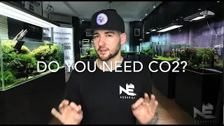 Do you need CO2 in your planted aquarium?