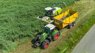 Whole Crop Silage | Claas Jaguar 940 + Fendt 828 | Geresteijn & P. van den Hardenberg | 2021