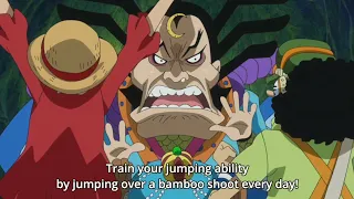 Funny Scene 2 Luffy and Trafalgar law tell Raizo to show ninja skill