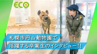 札幌市円山動物園で飼育員として活躍する卒業生-佐々木さんインタビュー！