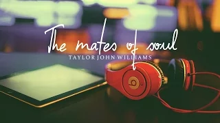 Lyrics + Vietsub || The Mates Of Soul || Taylor John Williams