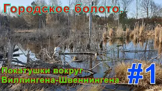 Городское болото. Покатушки вокруг Филлингена-Швеннингена ( Villingen-Schwenningen ). Часть первая.