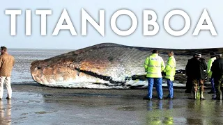 5 Biggest Snakes Ever Found On Earth