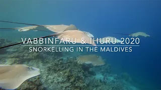 Snorkelling in the Maldives - Vabbinfaru and Ihuru 2020