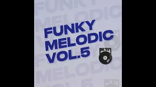 Funky Melodic vol.5 DJ MIXSET PETIJ