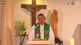 Life: Vacation or Vocation? Homily By Fr Jerry Orbos SVD  July 11 2021 15th Sunday in Ordinary Time