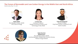 The Future of Renewable and Low Carbon Energy in the Middle East and North Africa