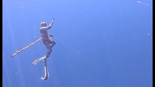 MAHI MAHI HUNTING - How to lose your expensive gun in 200m of water. Embrace the CHAOS.