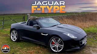 Should You Buy a JAGUAR F-TYPE? (Test Drive & Review 2014 3.0 V6 S)