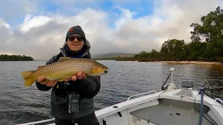 Fly Fishing Lake Wartook for Brown Trout | Grampians, Victoria