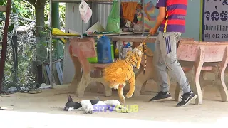 Fake tiger prank real dog very funny action 2021