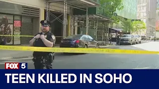 Teen killed in SoHo