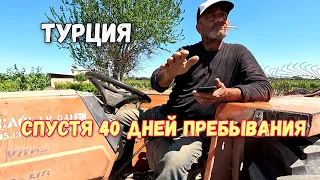 ❗ТУРЦИЯ - спустя 40 дней. ОСОБЕННОСТИ жизни. Люди, культура, климат, животные