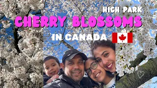 CHERRY BLOSSOMS in CANADA🇨🇦| New Immigrant | SPRING 2024 | HIGH PARK