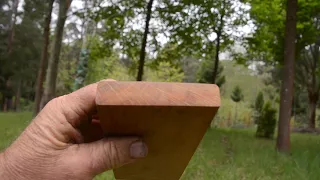 Growing Oak for high quality timber