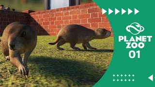 Planet Zoo Franchise - Building the Foundation (Part 1)