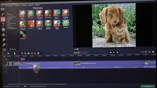 Movavi Video Suite 18 - лучшая программа для видеомонтажа - мой опыт..