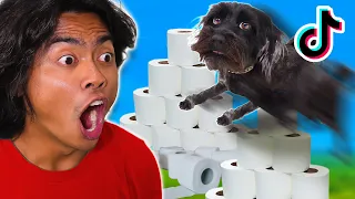 TRYING TIK TOK DOG CHALLENGES