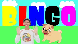 BINGO with Matt | Action Songs | Dream English Kids