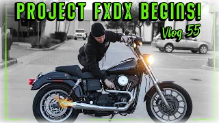 Project FXDX Begins! Carburetors & Straight Pipes!! Vlog 55