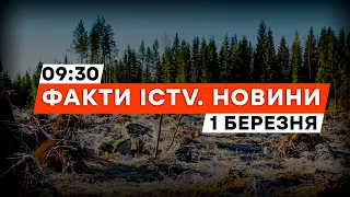 КУДИ ЗНИКАЄ ЛІС 🛑 В Україні ВИКРИТО масові ВИРУБИ ДЕРЕВ