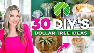 30 Dollar Tree DIY's...Beginner Friendly