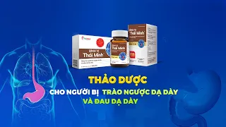 [Sống khỏe mỗi ngày] Thảo dược cho người bị trào ngược dạ dày và đau dạ dày | Now Sức Khỏe